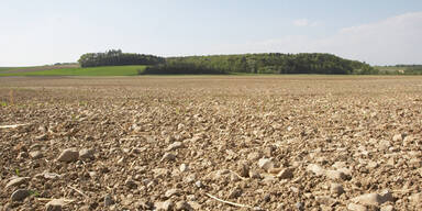 Spaziergänger nahm Stabbrandbombe mit heim