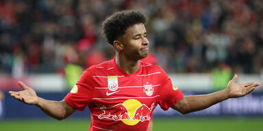 Morgen startet Bullen-Jagd