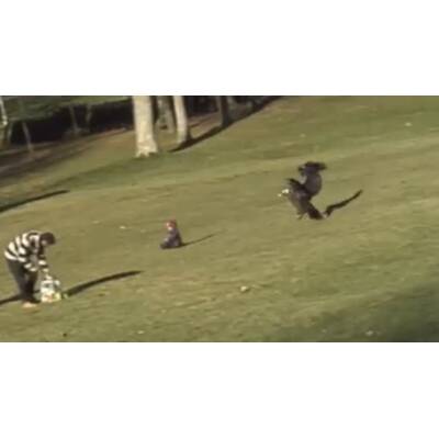  Die Horror-Attacke ereignete sich in einem Park in Kanada.