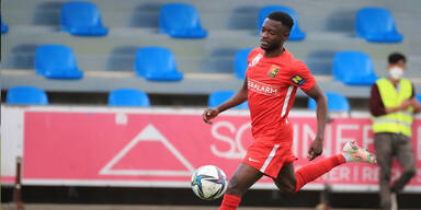 Admira bei einem Bundesliga-Spiel