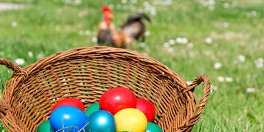 Der Eiersuche steht nichts im Weg.