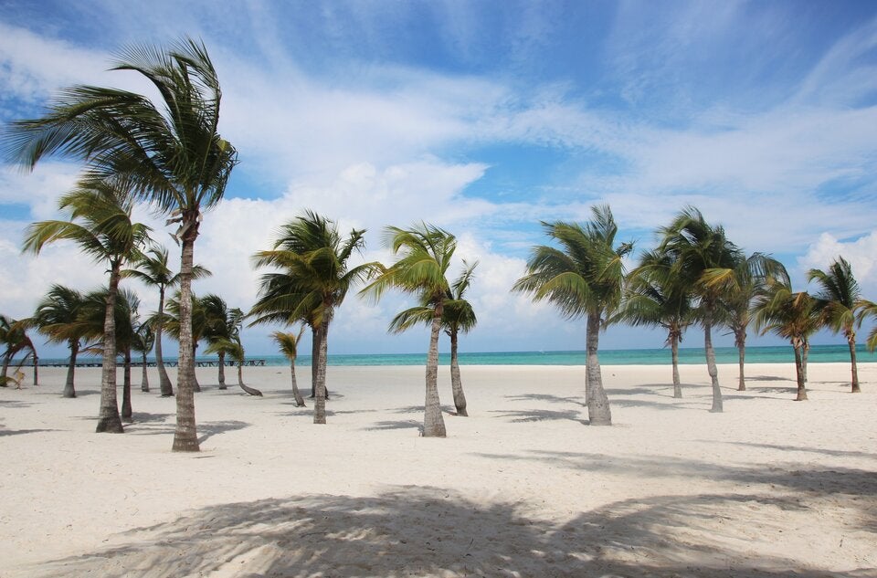 Näher als Sie denken: Tripadvisor kürt die schönsten Strände 2026