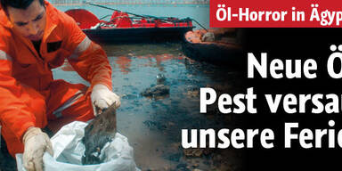 Neue Öl-Pest versaut
unsere Ferien