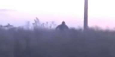 Bigfoot