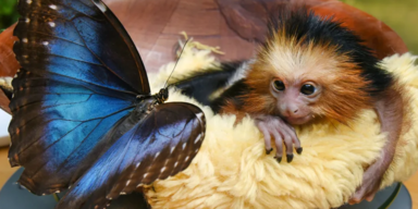 Waltraud Grubitzsch/dpa