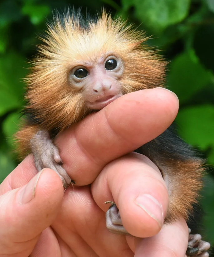 Waltraud Grubitzsch/dpa