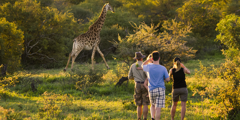 Dieser Moment…. wenn deine unvergessliche Reise beginnt