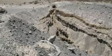 BBC/Julie Rowland, University of Auckland