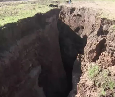 BBC/Julie Rowland, University of Auckland