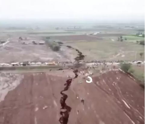 BBC/Julie Rowland, University of Auckland