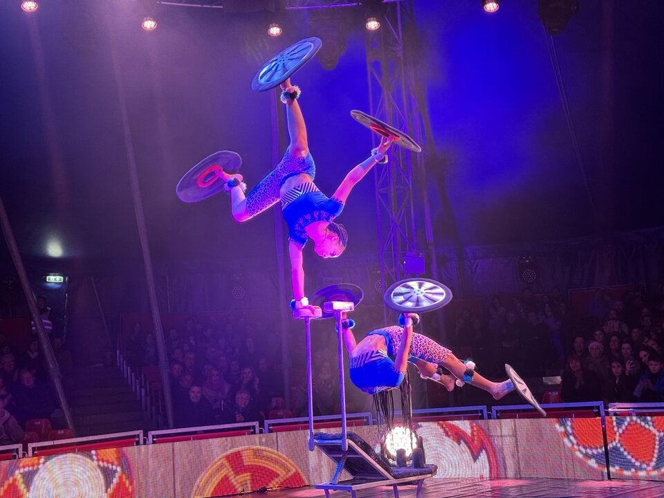 »Afrika! Afrika!« verzaubert jetzt ganz Wien