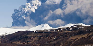 Airlines verlieren rund 200 Mio. Dollar am tag