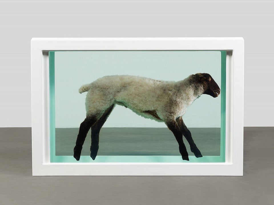 Im Hirn von Hirst - Albertina zeigt Zeichnungsretrospektive