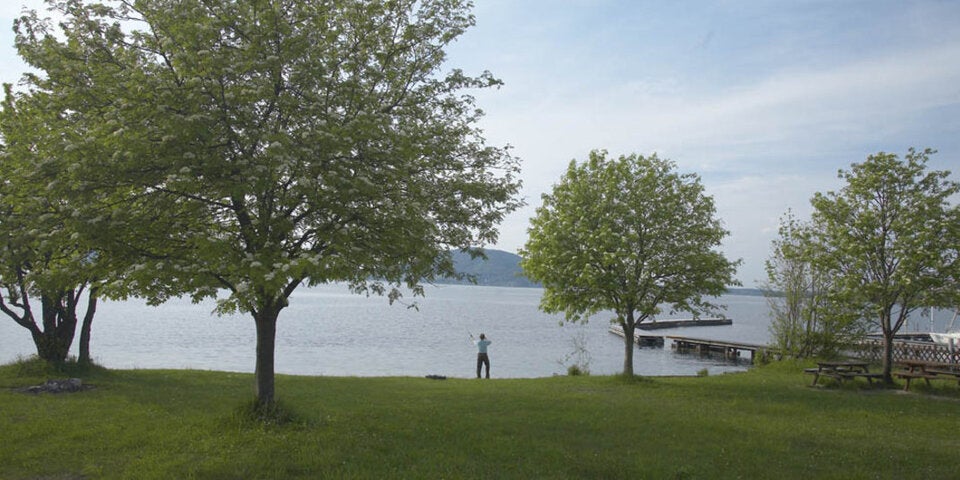 Naturbadeplatz Alexenau