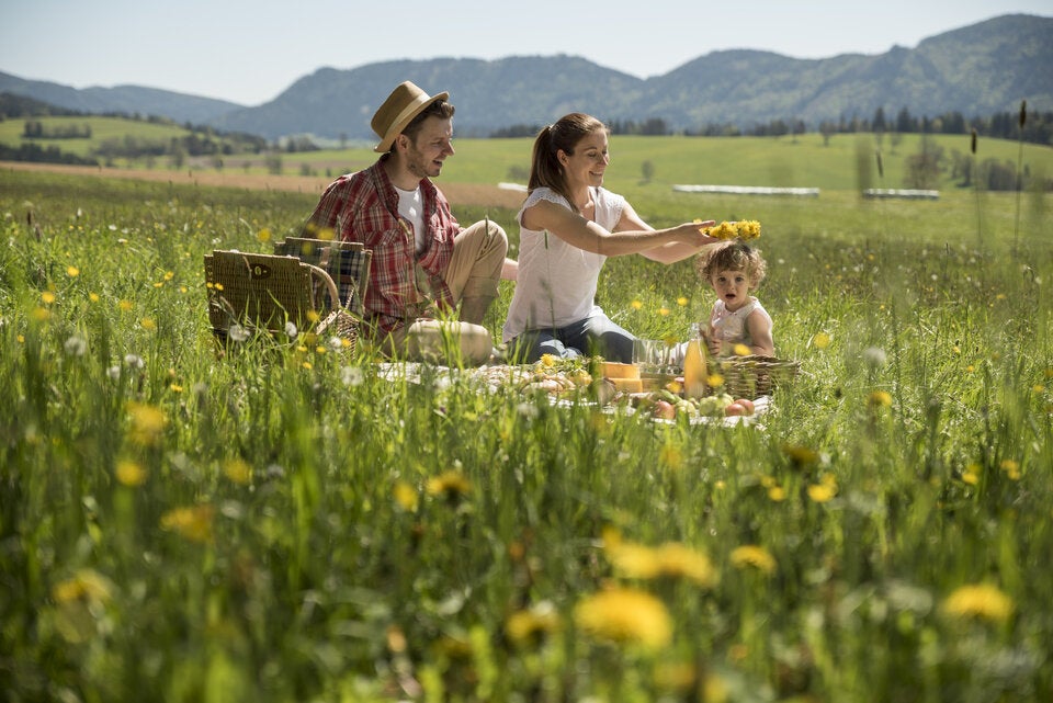 In der Oststeiermark locken saftig grüne Wiesen.  