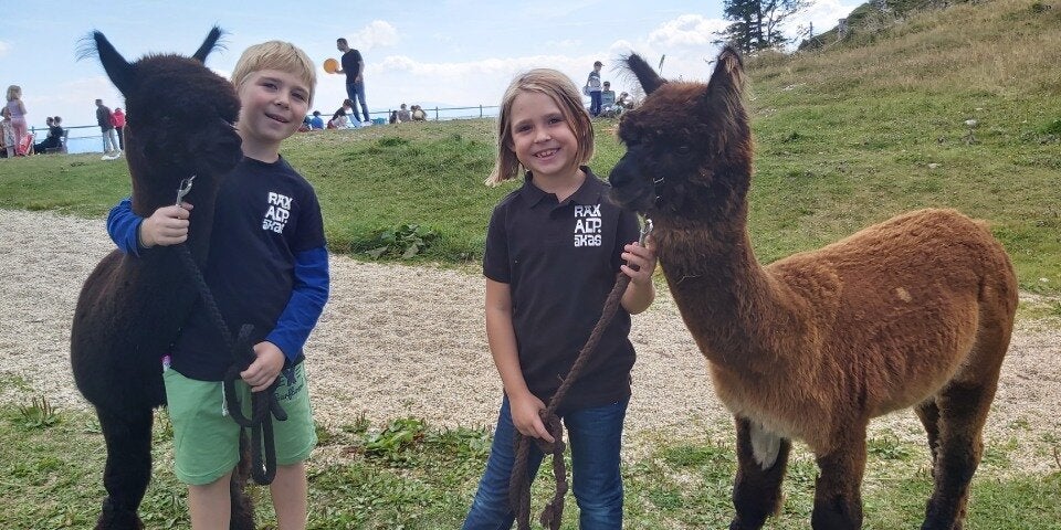 Mit der Rax-Seilbahn dem Alltag entschweben