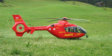 Alpin Heli 6