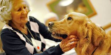 Alternde Gesellschaft als Herausforderung