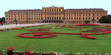 Am beliebtesten in Wien