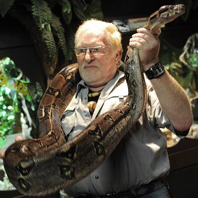 Neues Heim für Boa Amanda