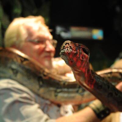 Neues Heim für Boa Amanda