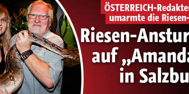 Boa Amanda nun in Salzburg zu Hause