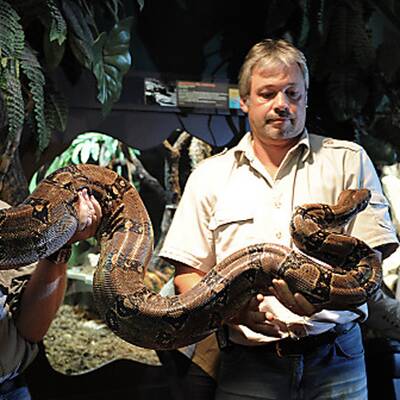 Neues Heim für Boa Amanda