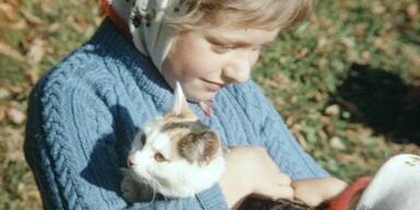 Basis-Depot zum Erhalt des nieder&ouml;sterreichischen Filmerbes