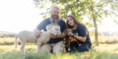 Lammborghini Pfotenhilfe