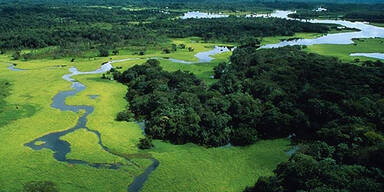 Amazonas 1