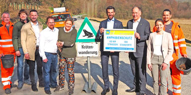 Unfallfreie Froschwanderungen entlang Schutzz&auml;unen