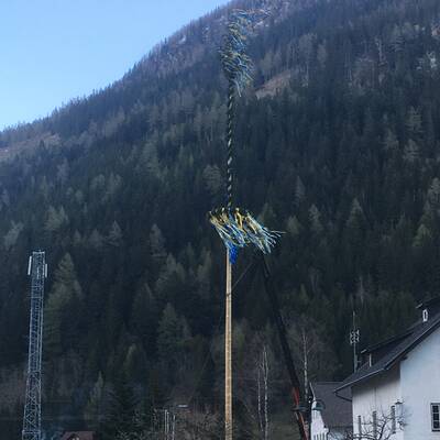 Maibaum in Auggenthal