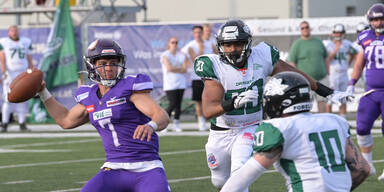 Vienna Vikings Danube Dragons