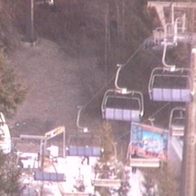 So grün ist derzeit Österreich