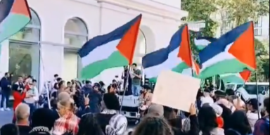 Anti-Israel-Demo in Wien