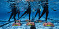 Aqua Qi-Gong: Fitness-Training im Wasser