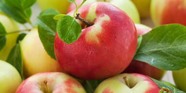 Äpfel