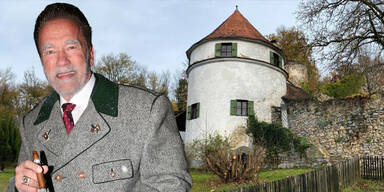 Arnold Schwarzenegger Burg