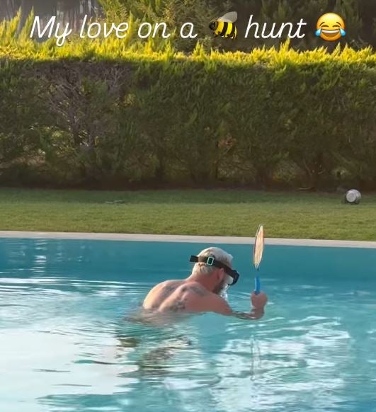 Rapid schwitzt im Trainingslager, Arnie jagt Bienen auf Mallorca