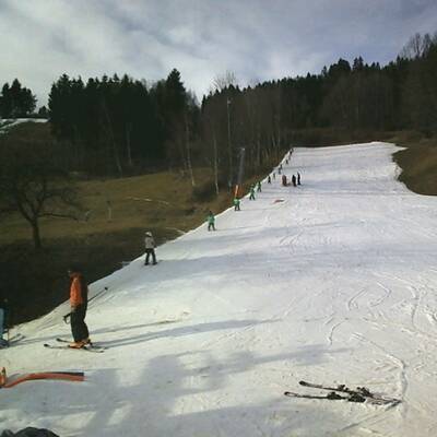 So grün ist derzeit Österreich