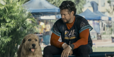 Arthur der Gro&szlig;e: Wahlberg kommt jetzt im Kino auf den Hund