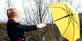 Sturm Regenschirm Wind Wetter Winter Herbst