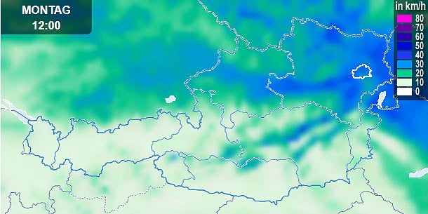 Todes-Sturm: Joggerin von Ast erschlagen
