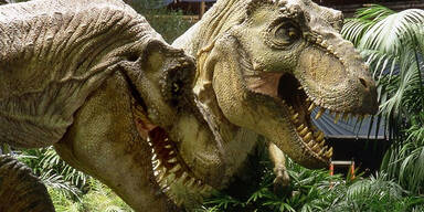 T-Rex Jurassic Park