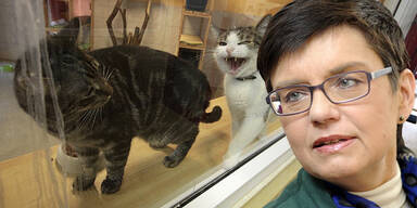 Wiener Tierschutzhaus / Madeleine PETROVIC