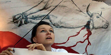 Polen Sch&auml;chtungsverbot