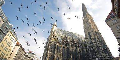 Wien Themenbild Stephansdom