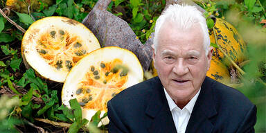 Frank STRONACH / Kürbis / Steiermark