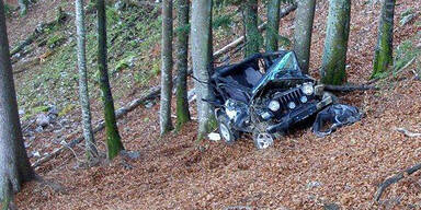 Gel&auml;ndewagen abgest&uuml;rzt