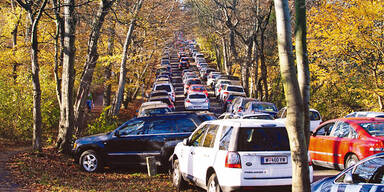 Cobenzl H&ouml;henstra&szlig;e Stau